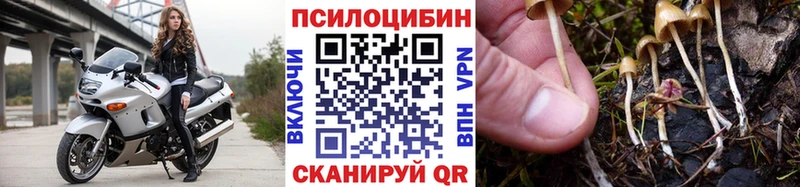 Псилоцибиновые грибы Psilocybe  закладки  Норильск 